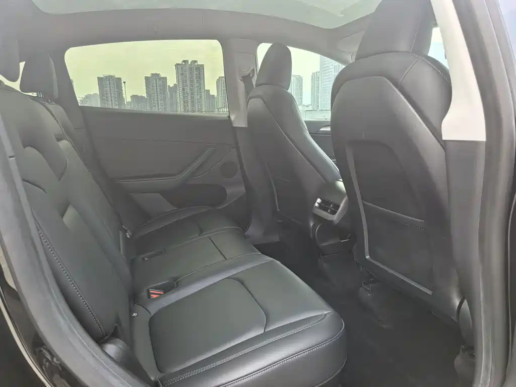 Tesla Model Y — фото 14