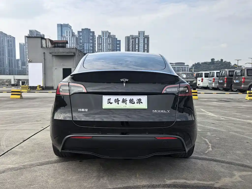 Tesla Model Y — фото 4