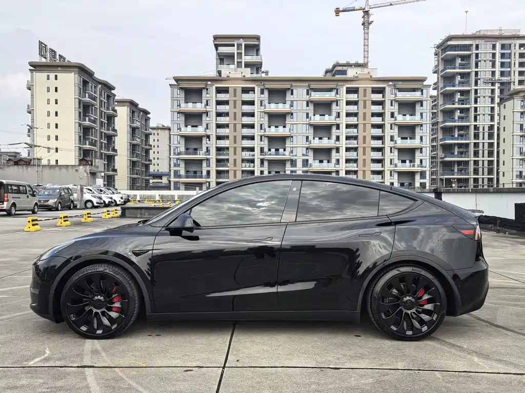 Tesla Model Y — фото 5