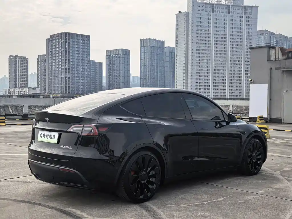 Tesla Model Y — фото 7