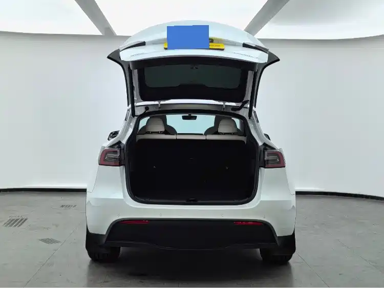 Tesla Model Y — фото 14