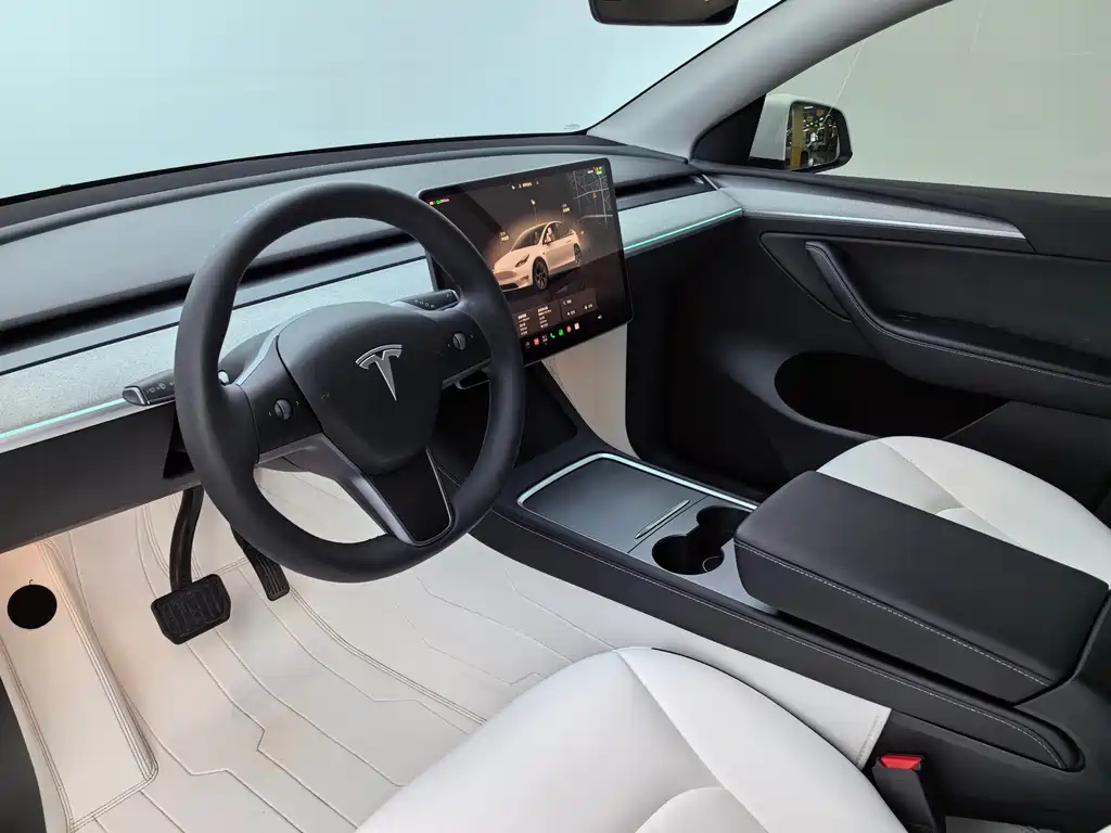 Tesla Model Y — фото 20