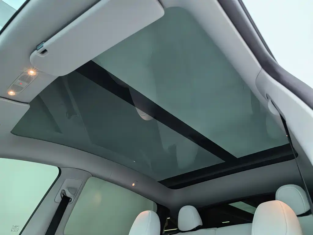 Tesla Model Y — фото 21