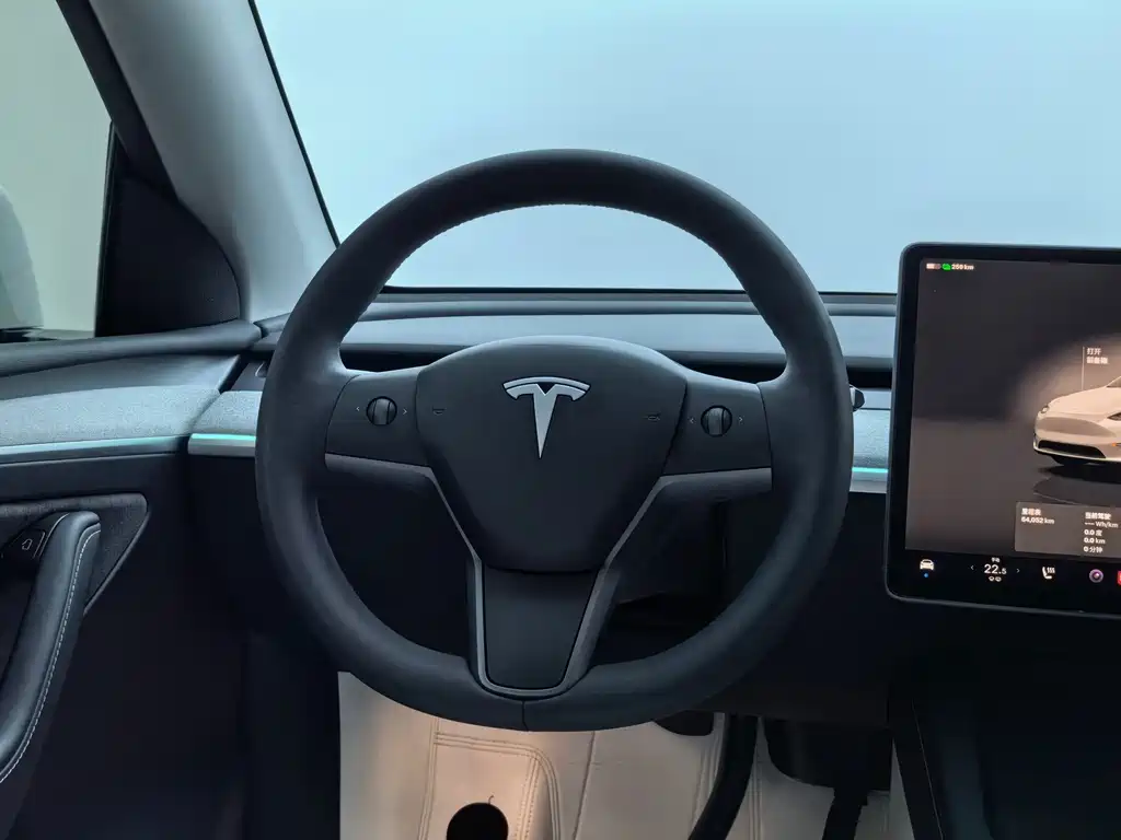 Tesla Model Y — фото 24