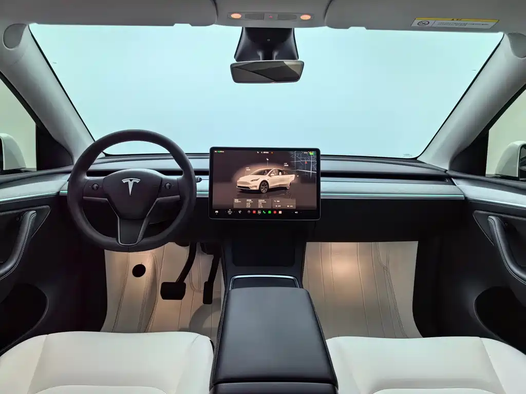 Tesla Model Y — фото 25