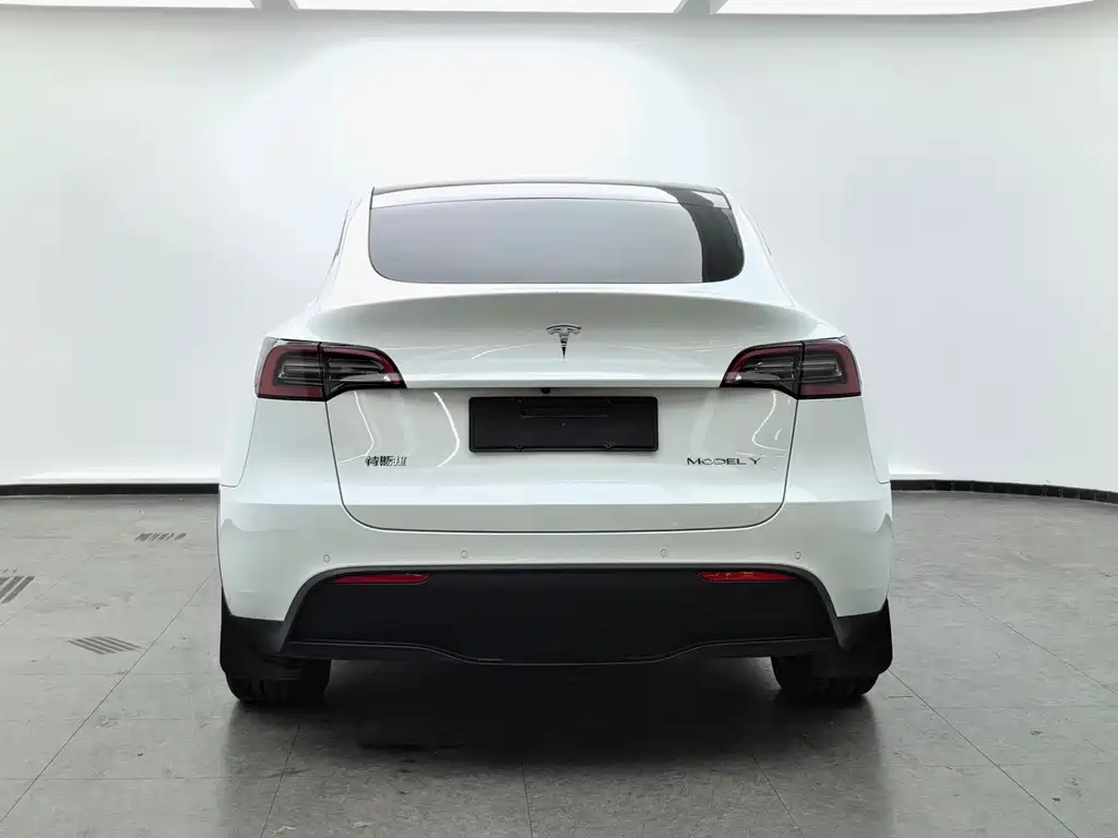 Tesla Model Y — фото 5