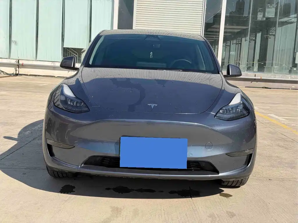 Tesla Model Y — фото 2