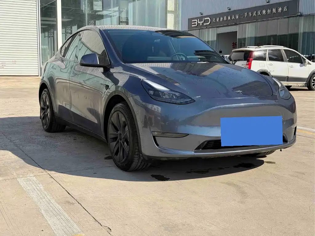Tesla Model Y — фото 3