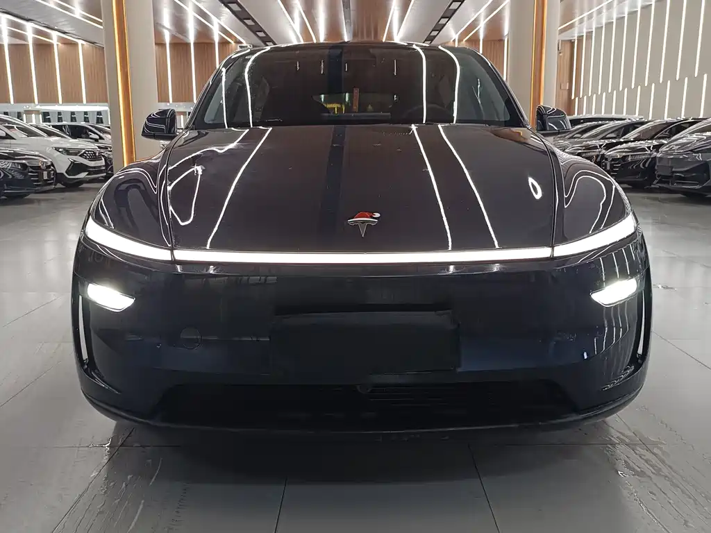 Tesla Model Y — фото 2