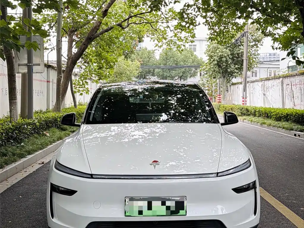 Tesla Model Y — фото 2