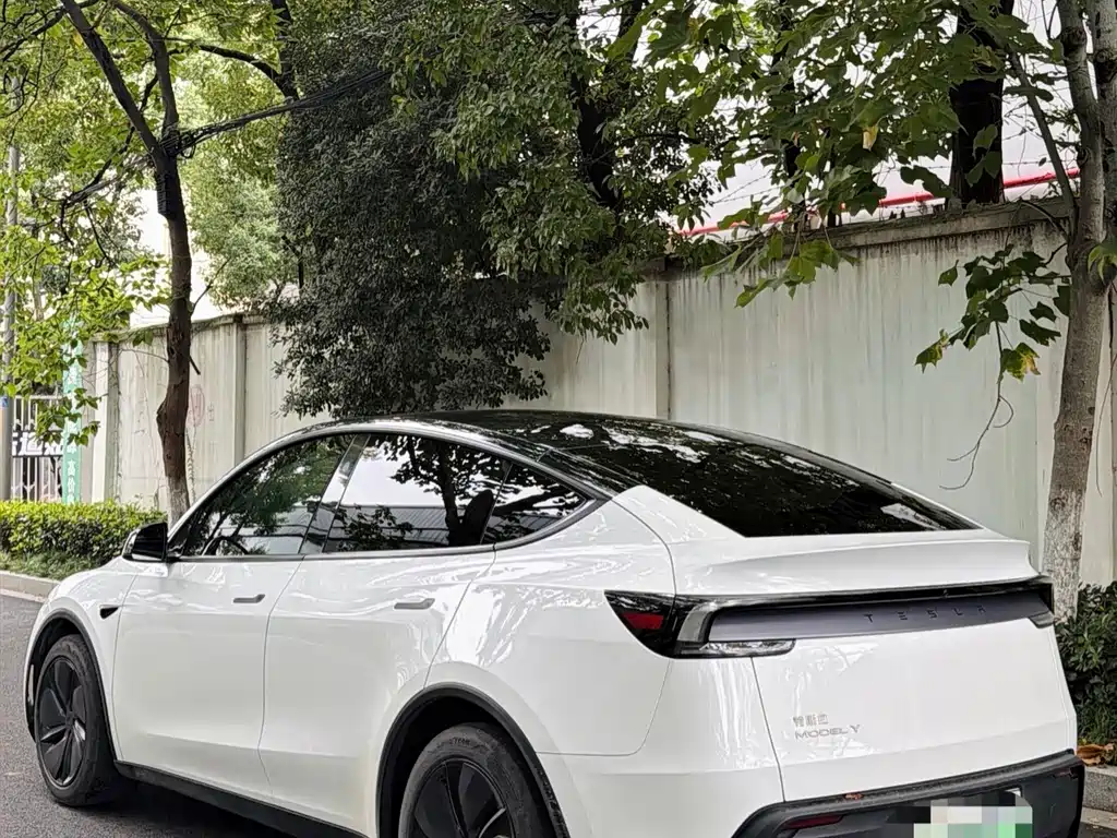 Tesla Model Y — фото 8
