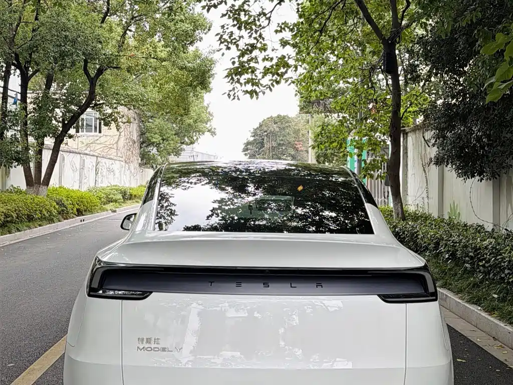 Tesla Model Y — фото 9