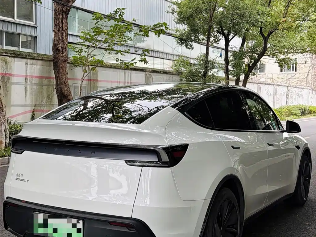 Tesla Model Y — фото 10