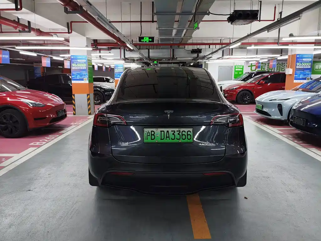 Tesla Model Y — фото 8