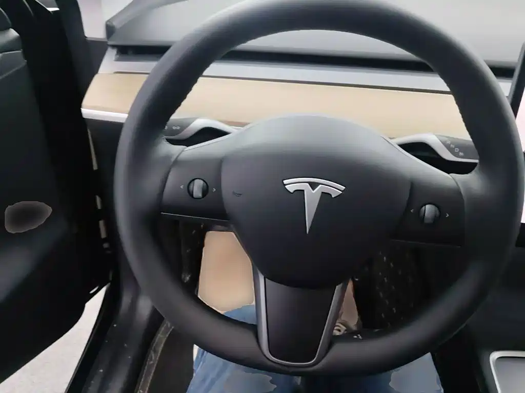 Tesla Model Y — фото 11