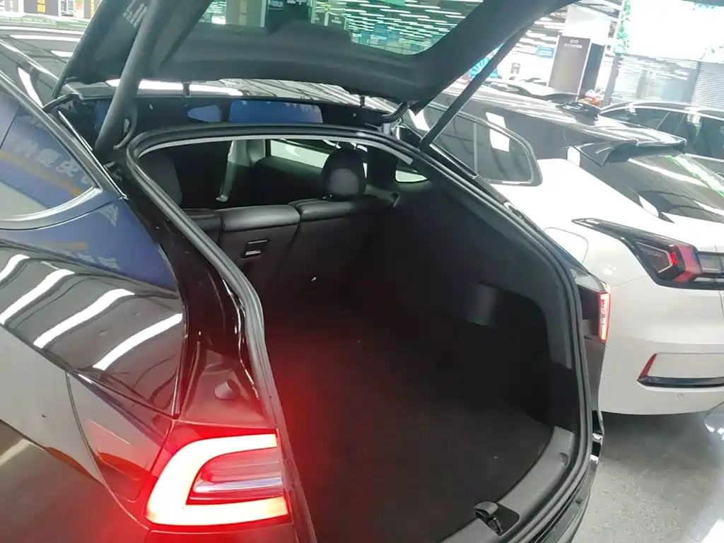 Tesla Model Y — фото 19