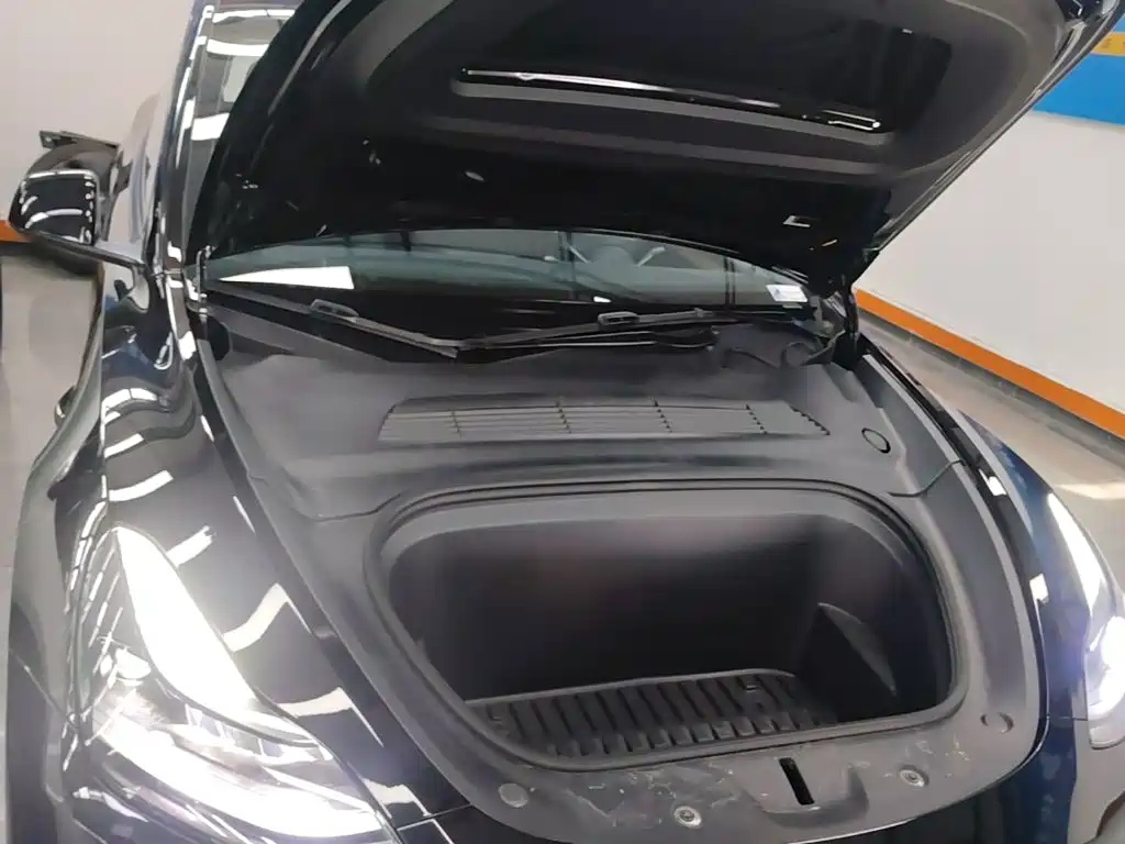 Tesla Model Y — фото 20