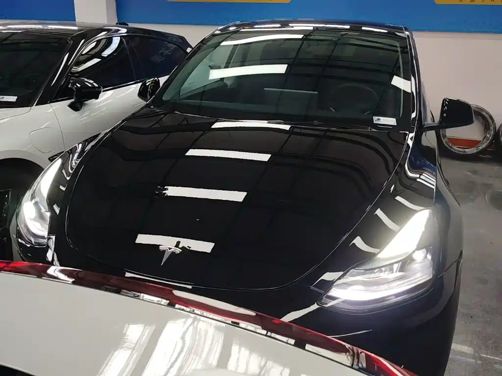 Tesla Model Y — фото 3