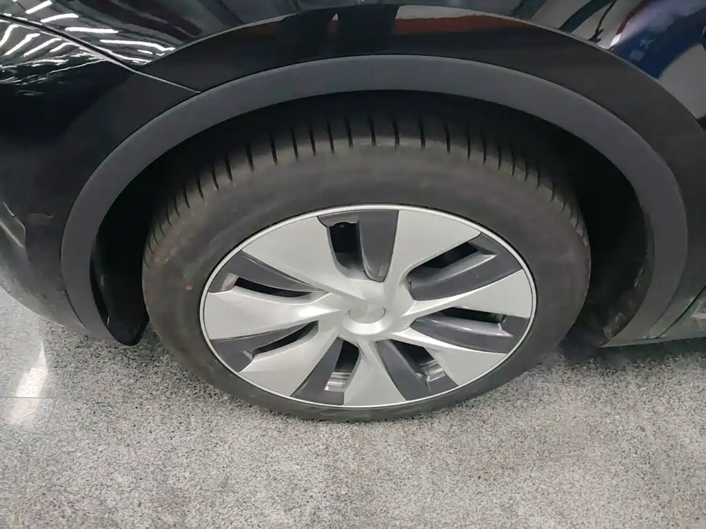 Tesla Model Y — фото 23