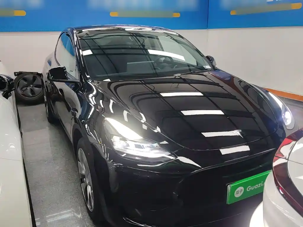 Tesla Model Y — фото 4