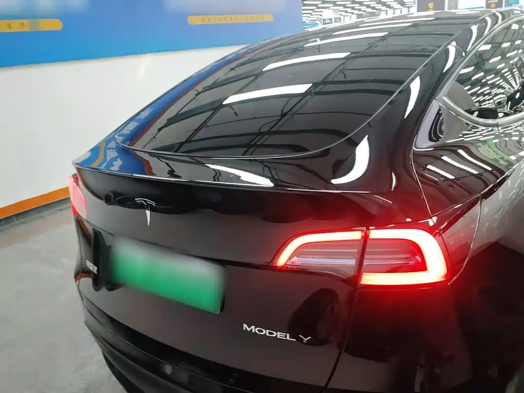 Tesla Model Y — фото 6