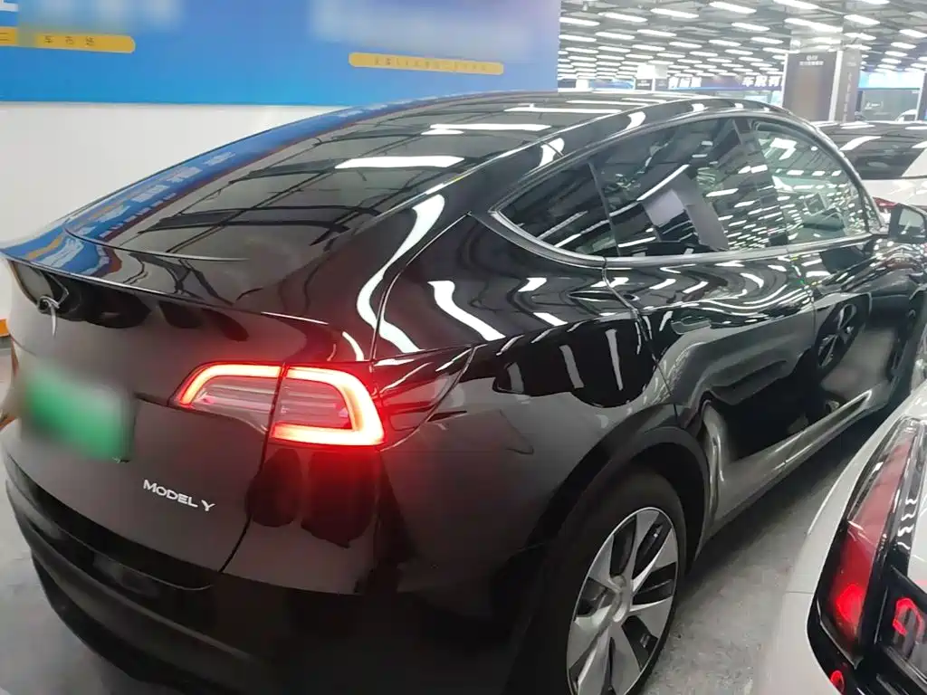 Tesla Model Y — фото 7