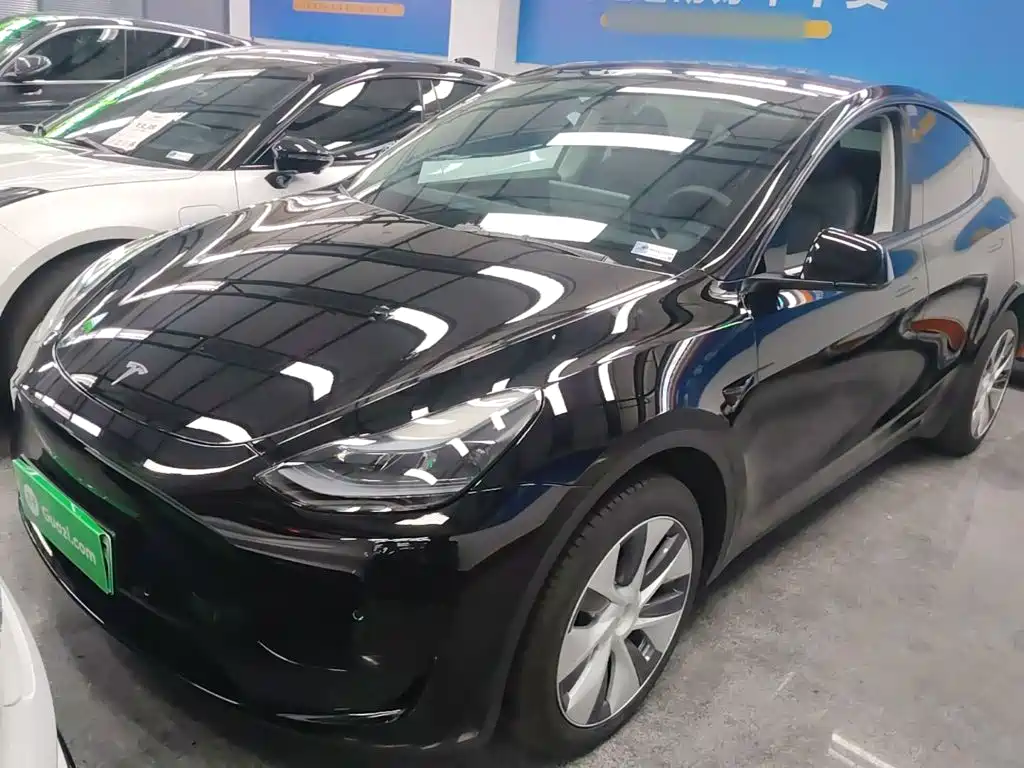 Tesla Model Y — фото 1