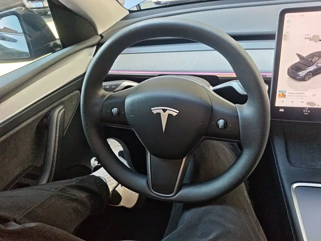 Tesla Model Y — фото 11