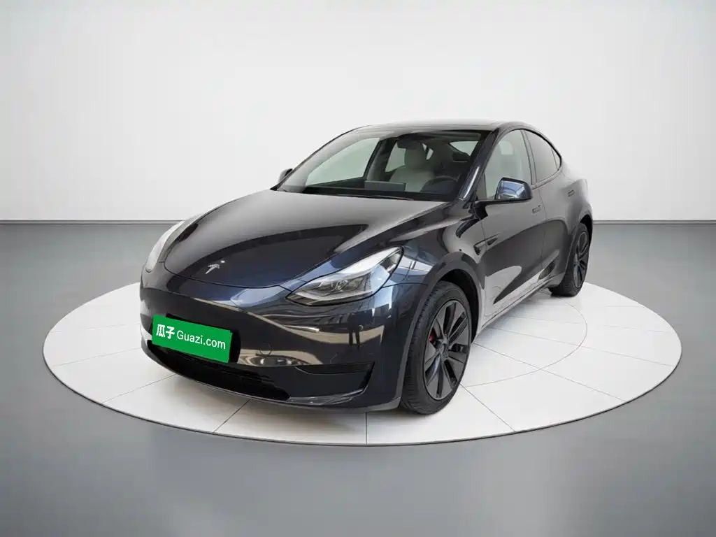 Tesla Model Y — фото 1