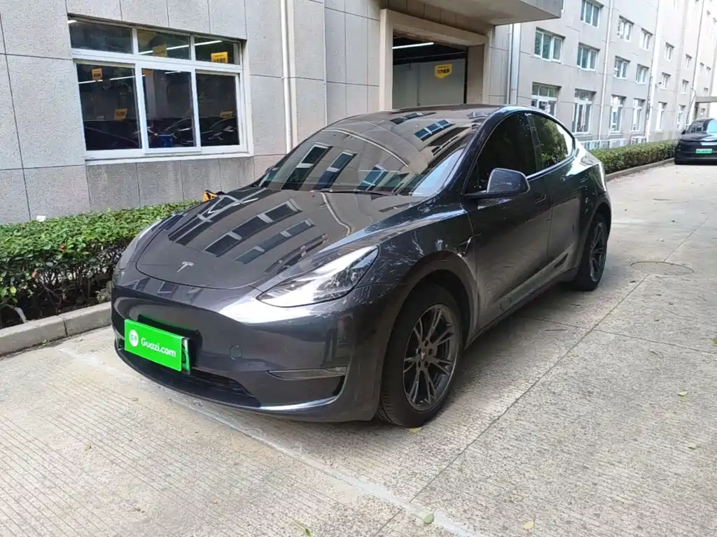 Tesla Model Y — фото 2