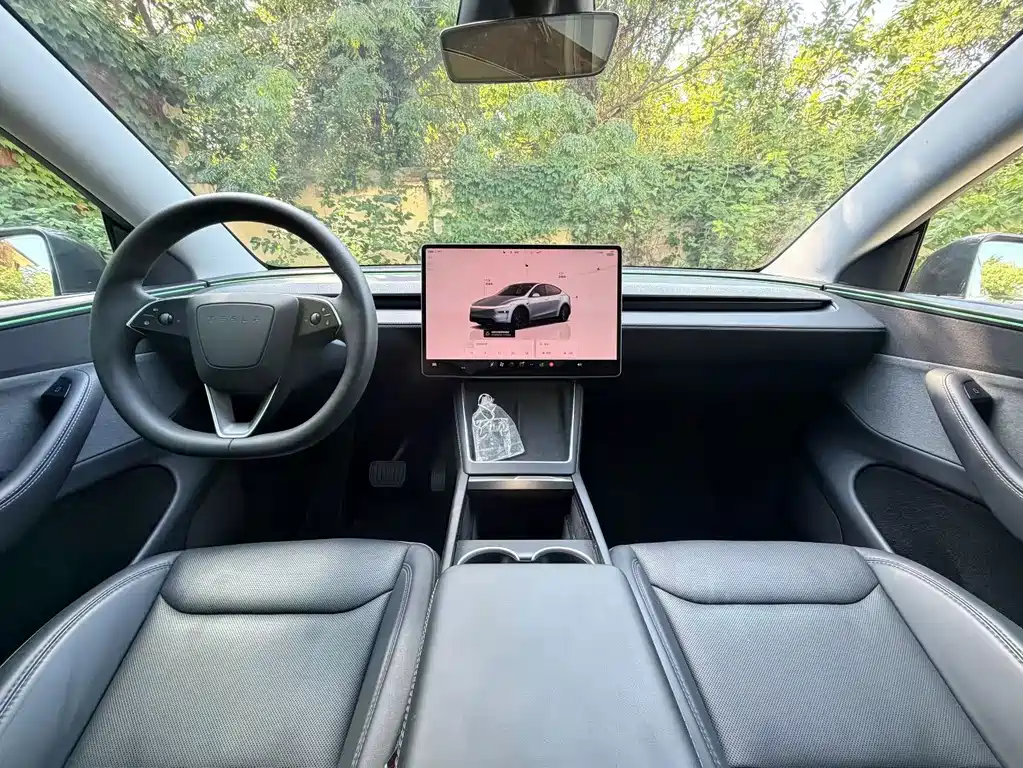 Tesla Model Y — фото 3