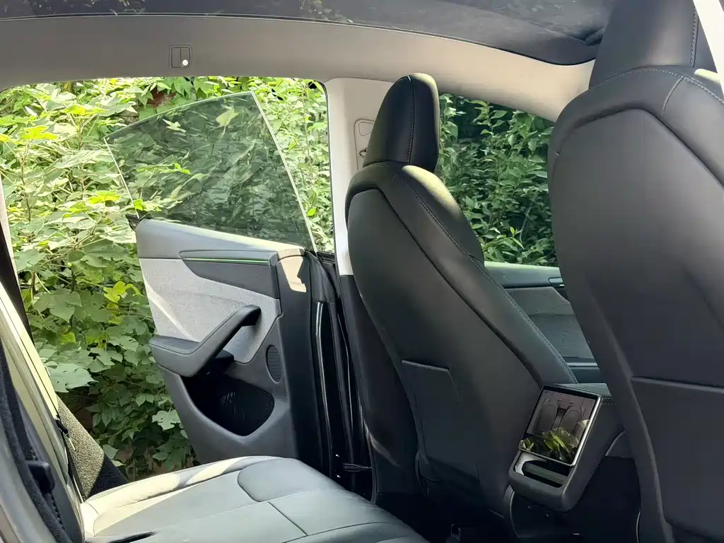 Tesla Model Y — фото 5