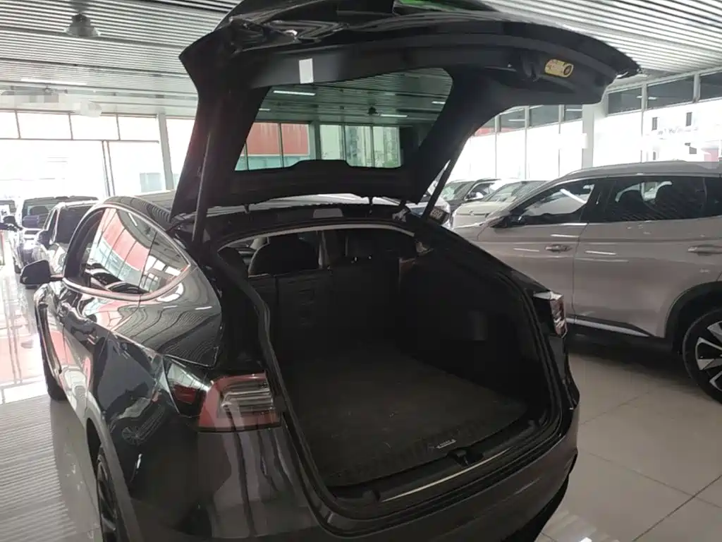 Tesla Model Y — фото 19