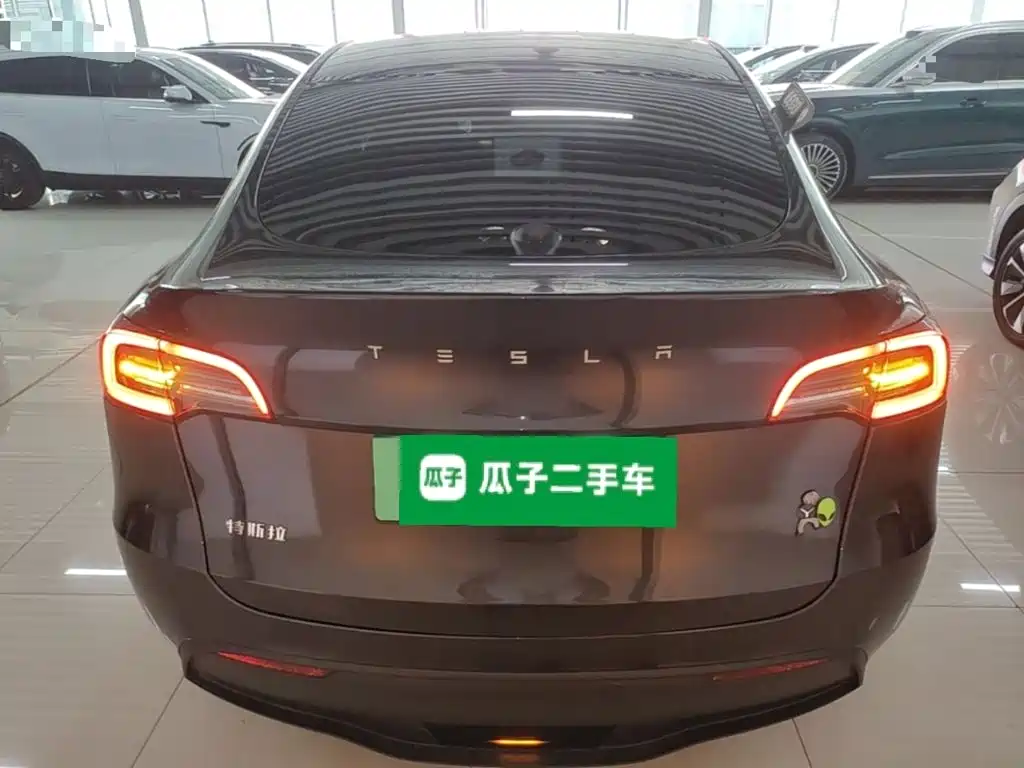 Tesla Model Y — фото 6