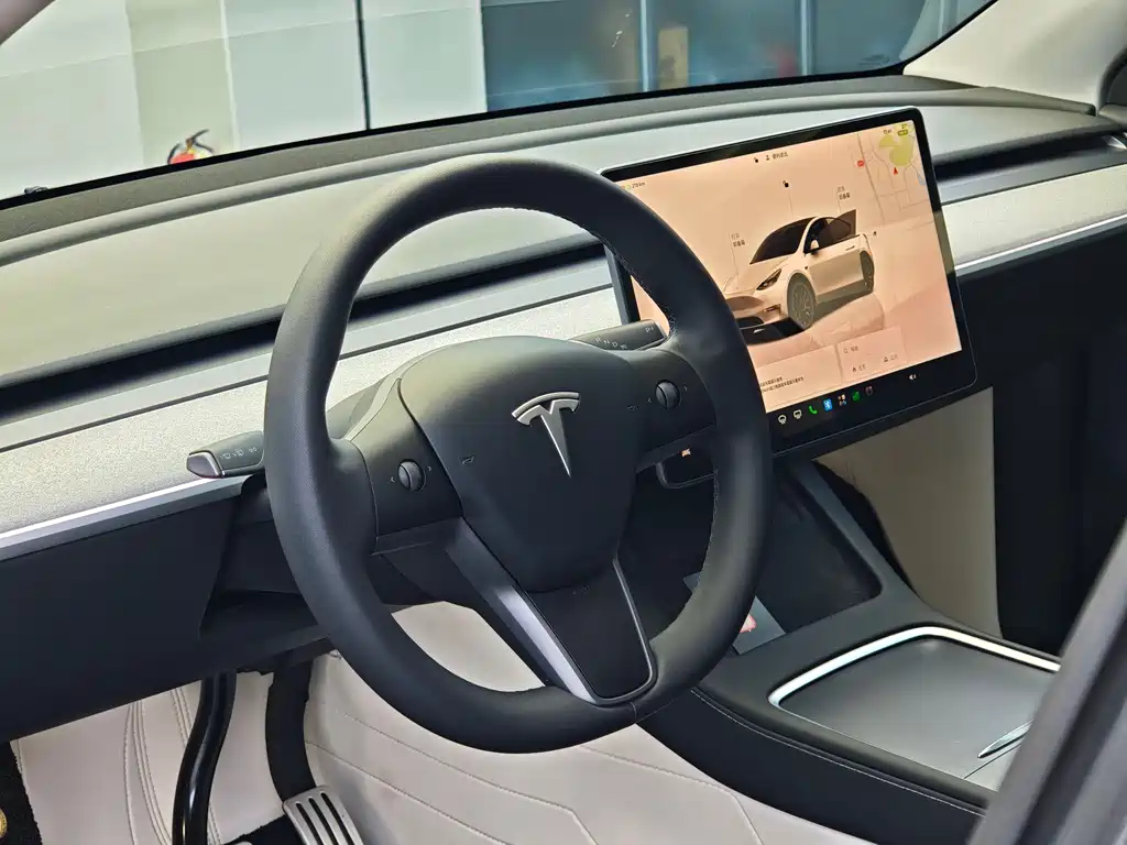 Tesla Model Y — фото 9