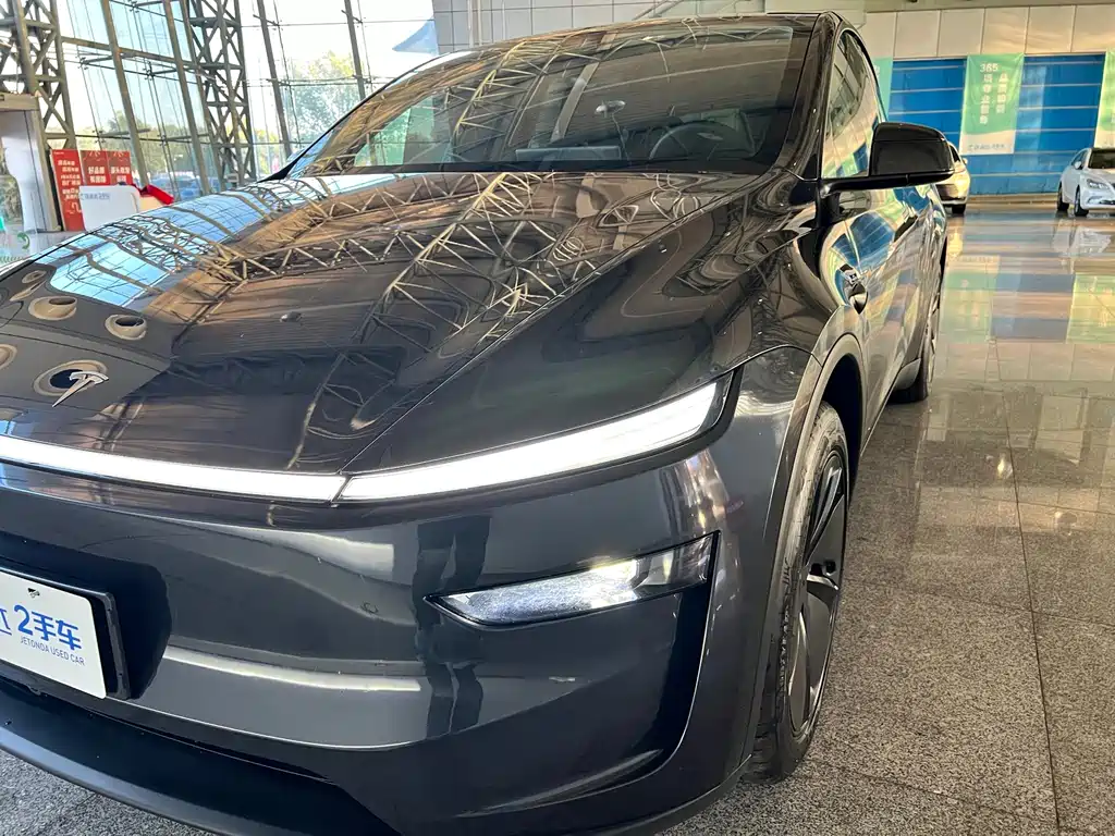 Tesla Model Y — фото 29