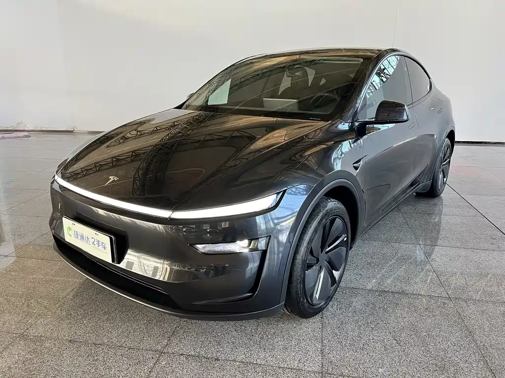 Tesla Model Y — фото 5