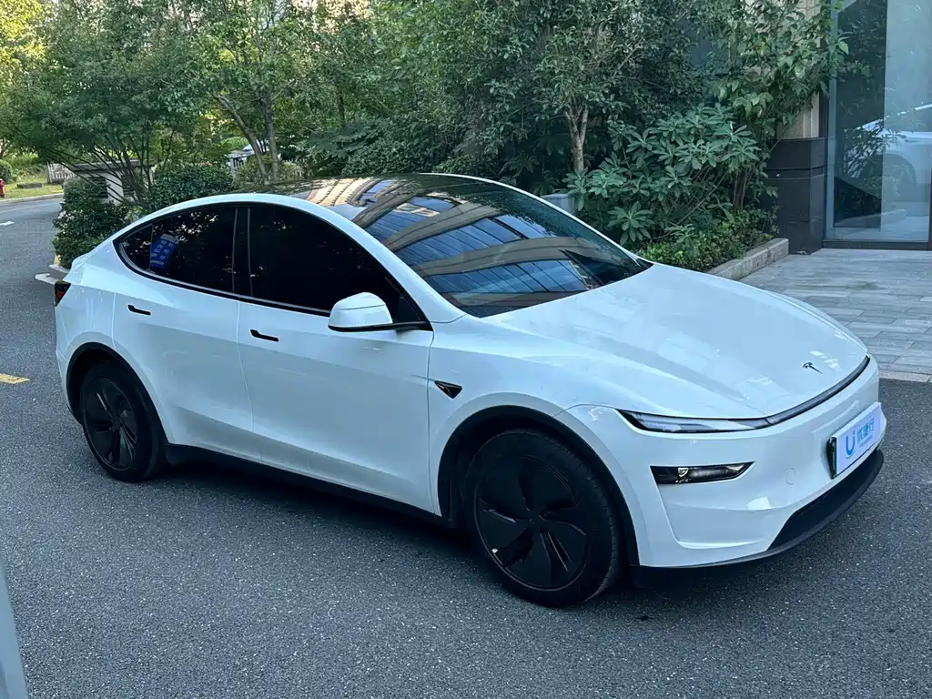 Tesla Model Y — фото 2