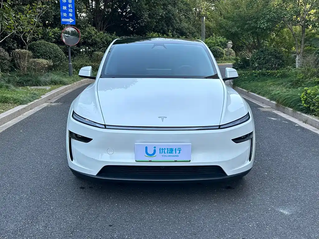 Tesla Model Y — фото 3