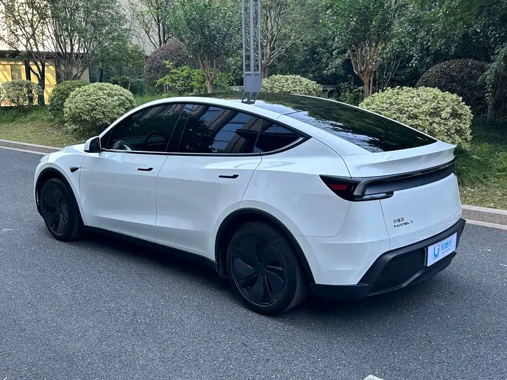 Tesla Model Y — фото 6