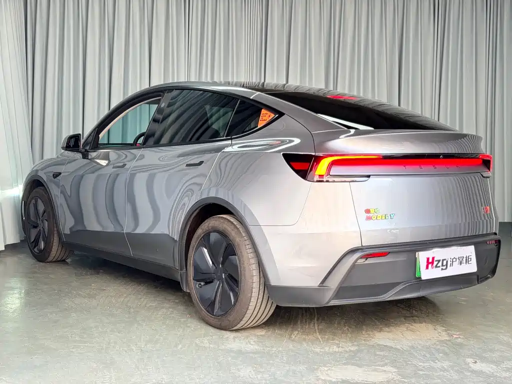 Tesla Model Y — фото 9
