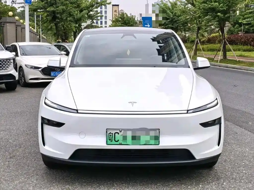 Tesla Model Y — фото 2