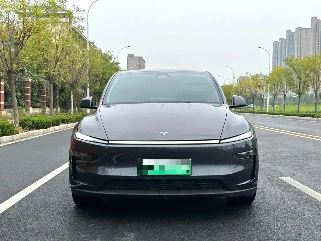 Tesla Model Y — фото 2