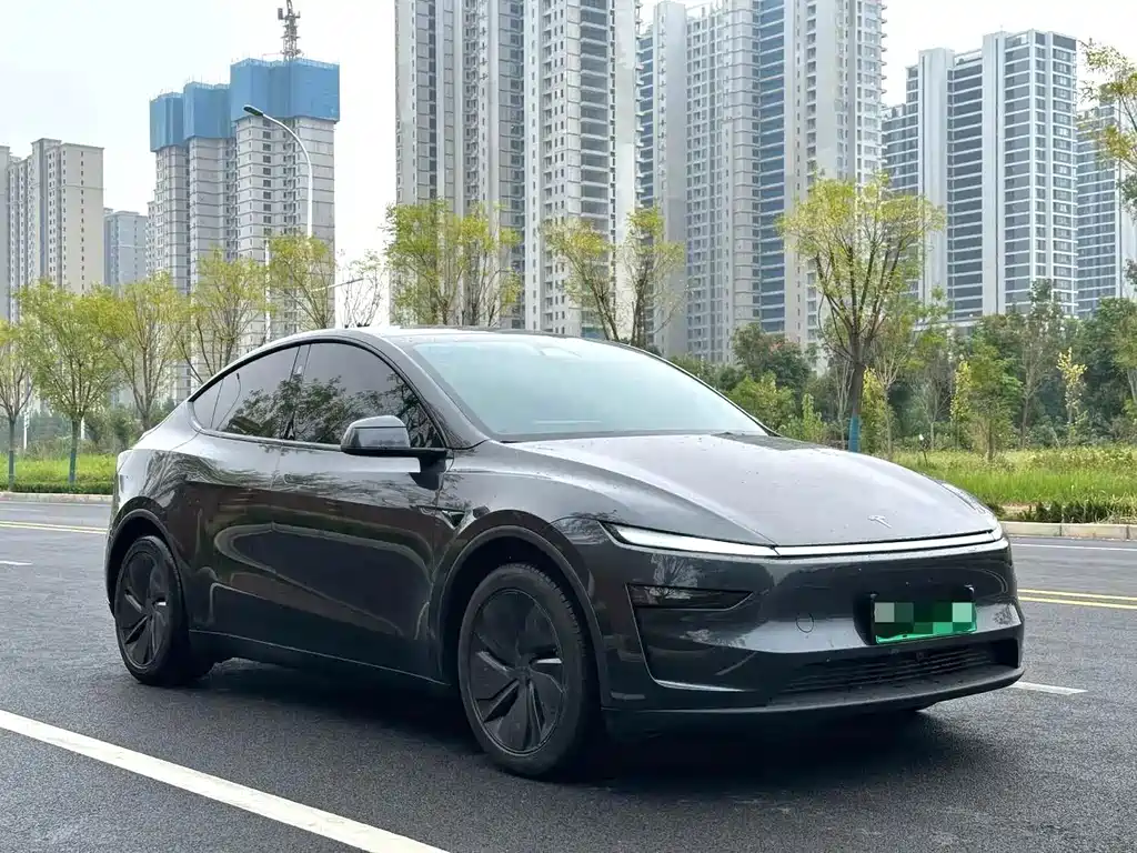 Tesla Model Y — фото 3