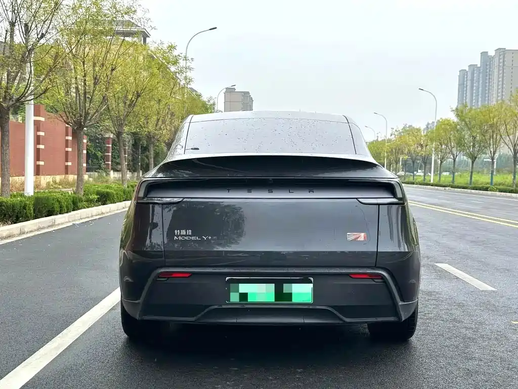 Tesla Model Y — фото 8