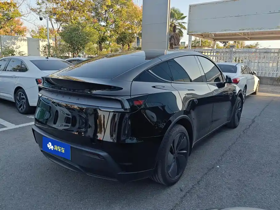 Tesla Model Y — фото 3