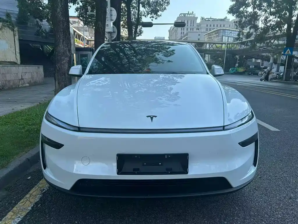 Tesla Model Y — фото 2