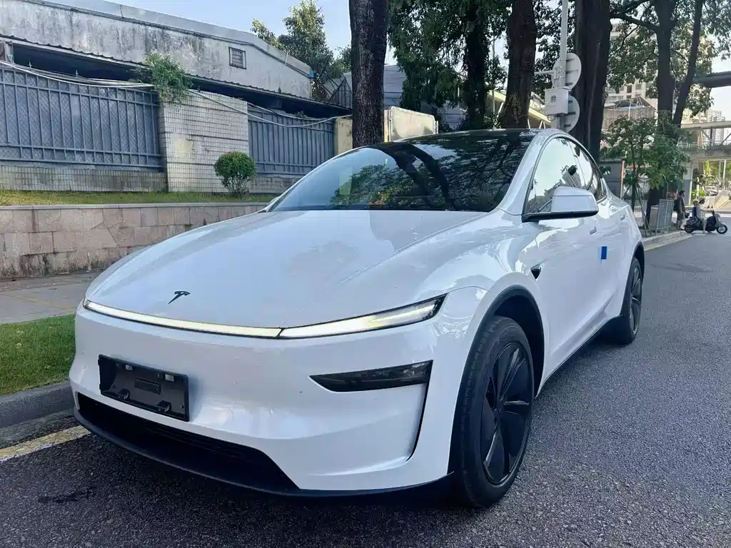 Tesla Model Y — фото 3