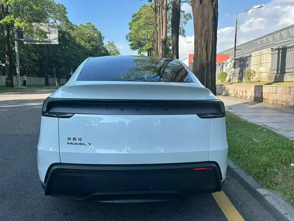 Tesla Model Y — фото 8