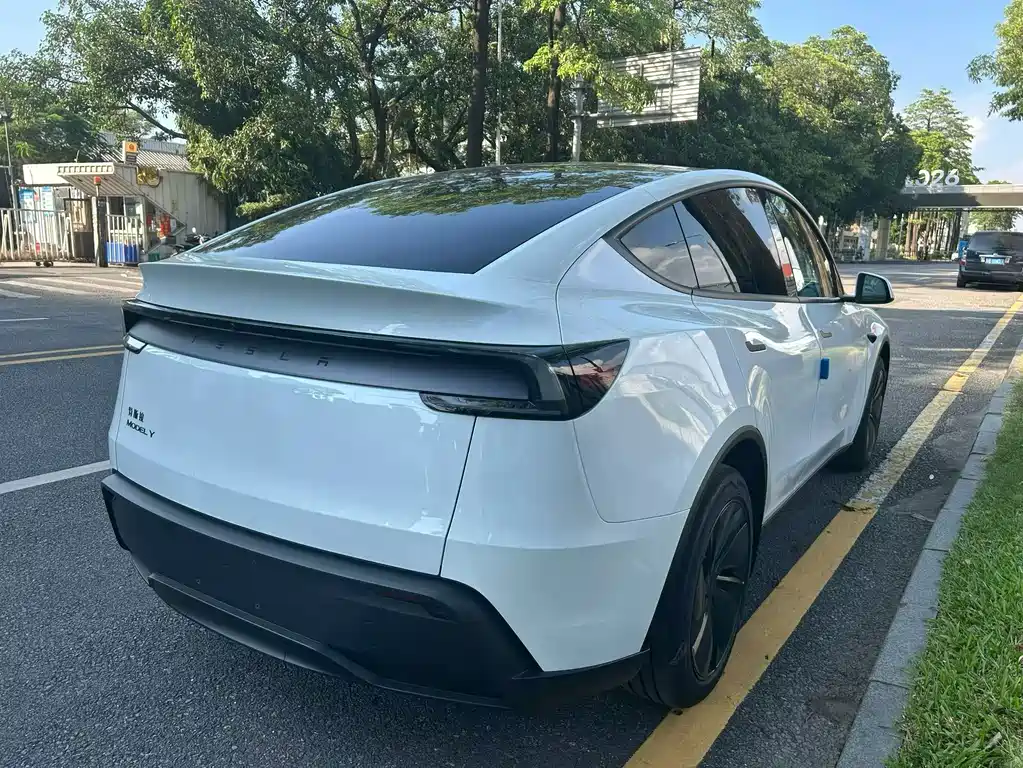 Tesla Model Y — фото 9